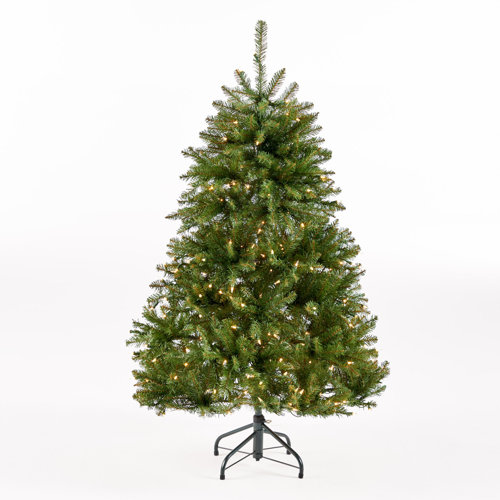 The Holiday Aisle® Lewisville Lighted Christmas Tree & Reviews Wayfair